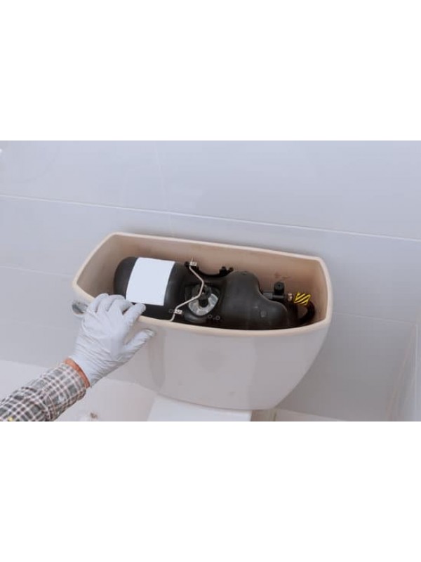 WC Checkup