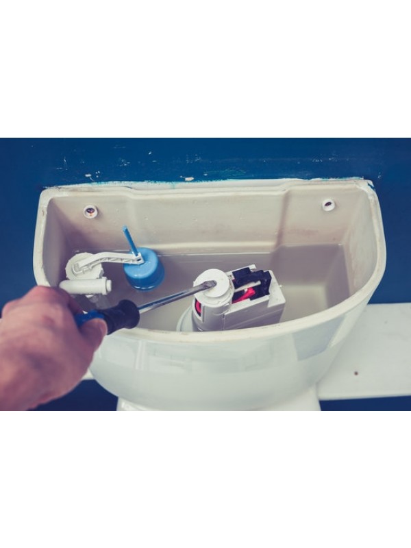 WC Repair