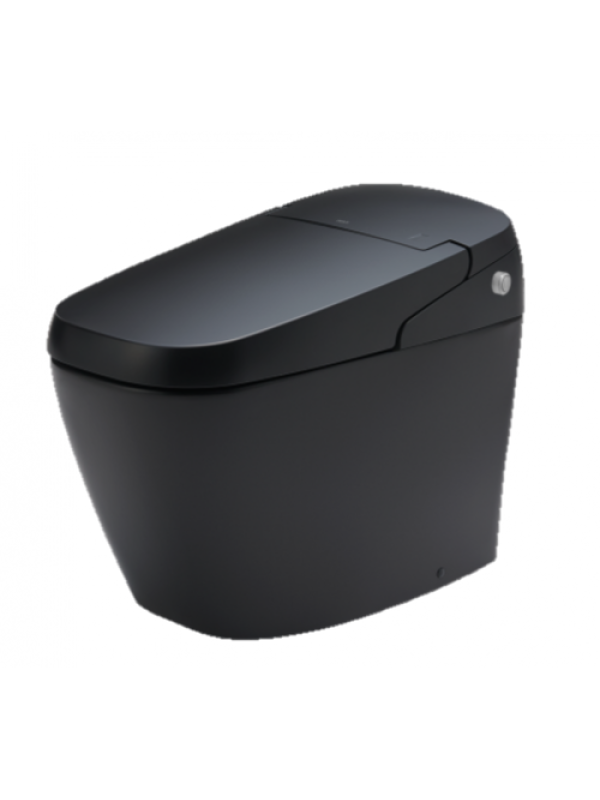 SATIS smart toilet